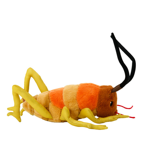 Wiremu The Weta 20cm-Moana Road NZ-Matakana Pharmacy